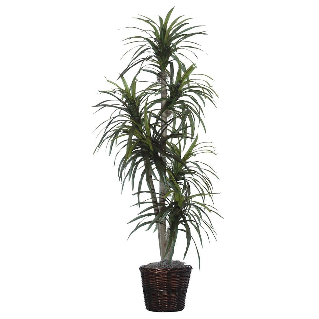 6' Artificial Marginata Executive Tree 1