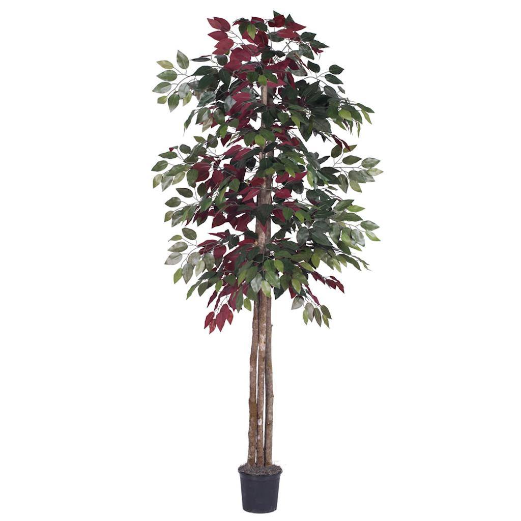 72" Potted Artificial Deluxe Capensia Tree 1