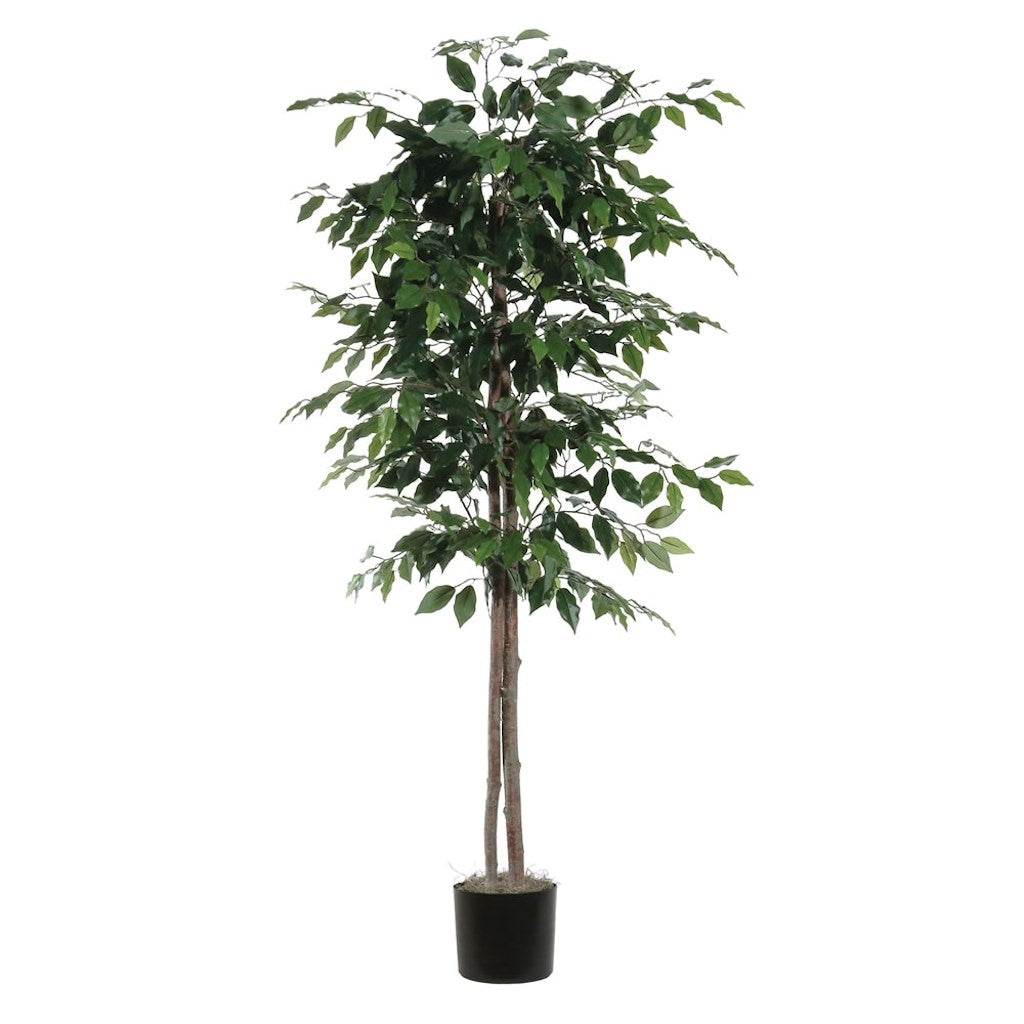 6' Artificial Ficus Tree 1