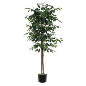 6' Artificial Ficus Tree 1