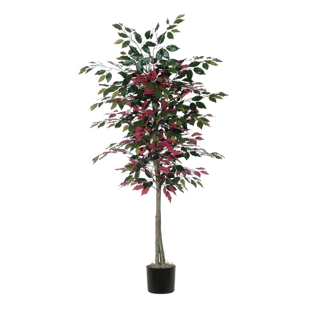 6' Artificial Capensia Tree 1