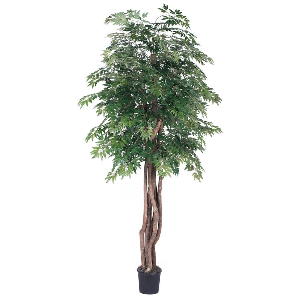 72" Potted Artificial Executive Ming Aralia Tree 1