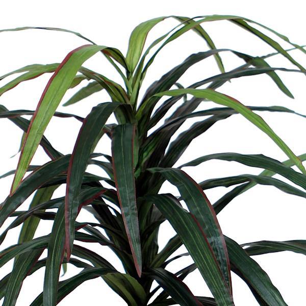 6.5' Artificial Marginata Executive Tree in a Black Plastic Pot 2