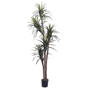 6.5' Artificial Marginata Executive Tree in a Black Plastic Pot 1