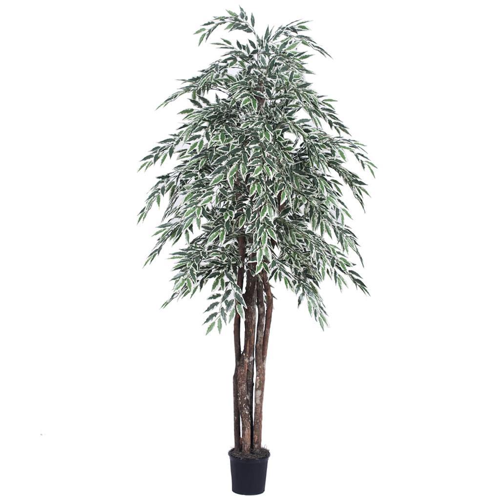 72" Potted Artificial Executive Variegated Smilax Tree 1