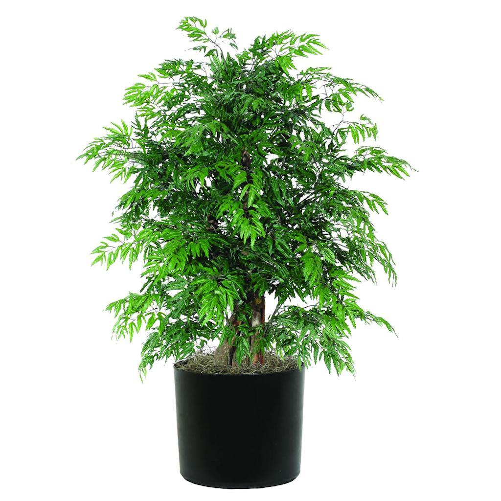48" Artificial Ming Aralia Extra Full in Black Pot 1