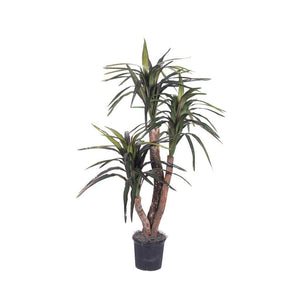 48" Artificial Potted Marginata Extra Full Bush 1