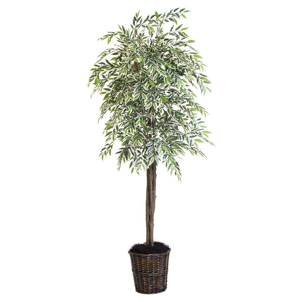 72" Potted Artificial Deluxe Varigated Smilax Tree 1
