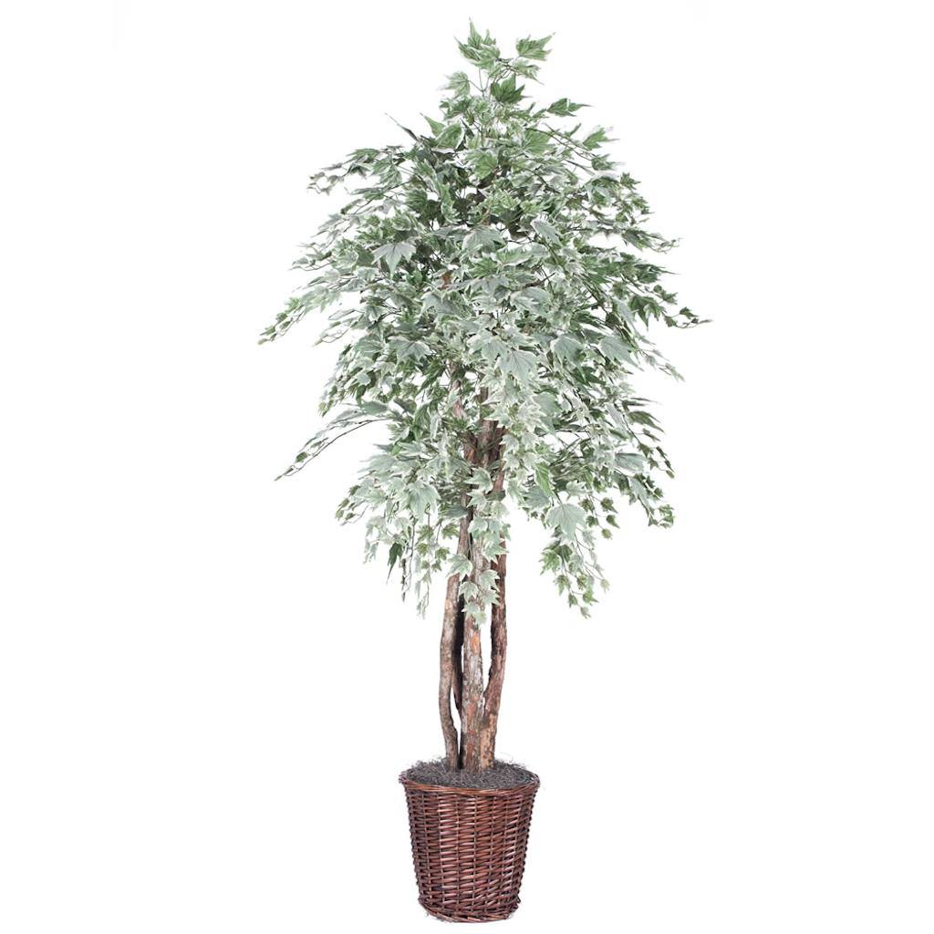 72" Potted Artificial Executive Silver Maple Tree 1