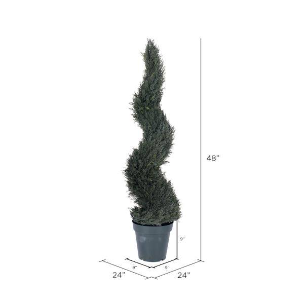 48" Artificial Pond Cypress Spiral in Black Pot 2