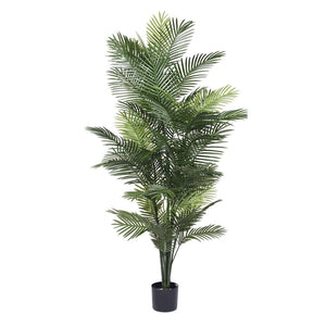 6' Artificial Robellini Palm Tree 1