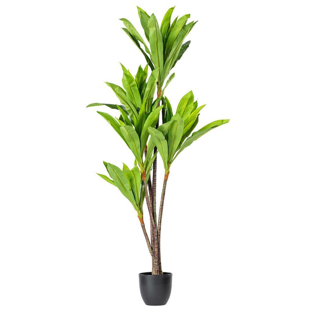 60" Artificial Real Touch Dracaena in Black Pot 1