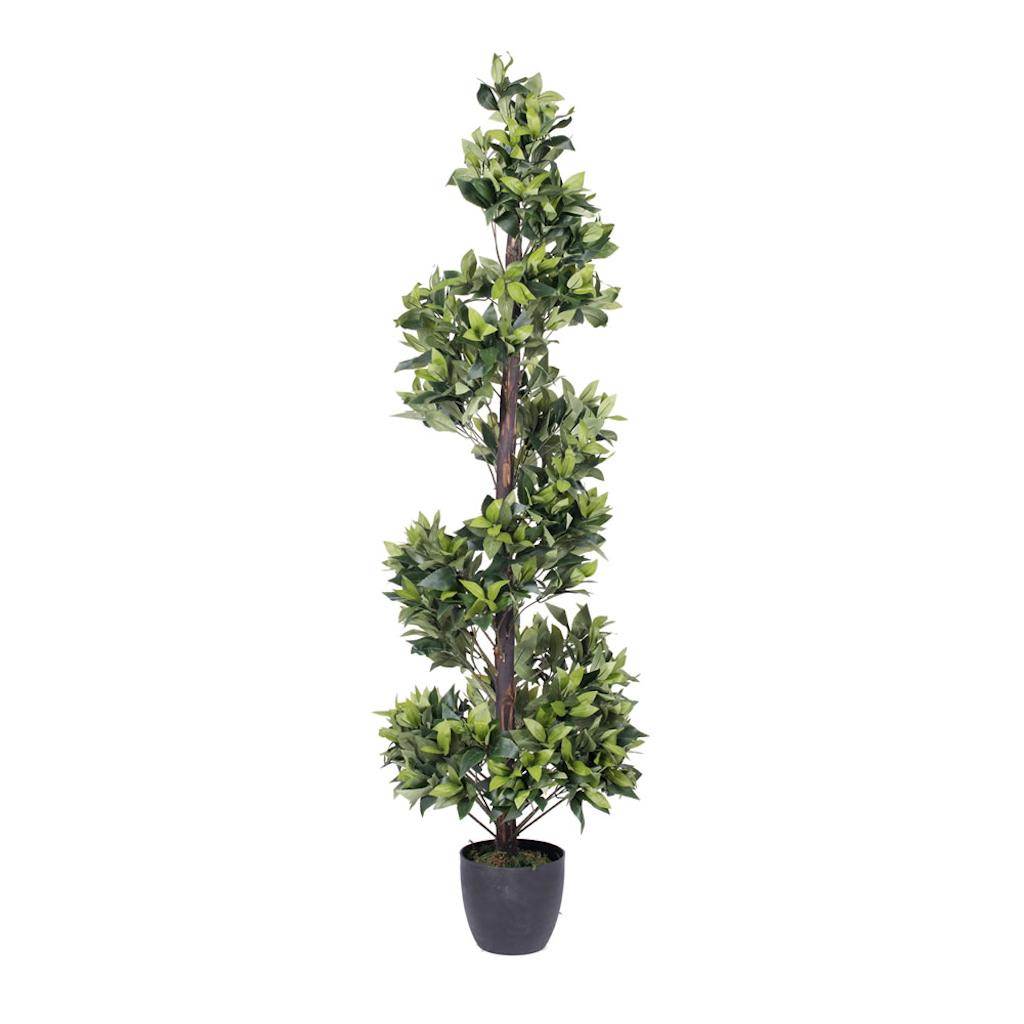 60" Artificial Spiral Bay Tree in Black Pot 1