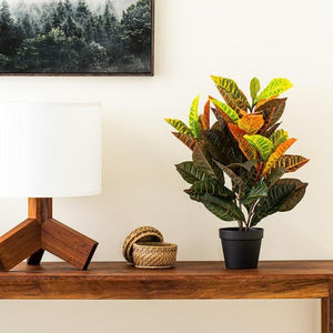 30"  Artificial Real Touch Cronton in Black Pot 3