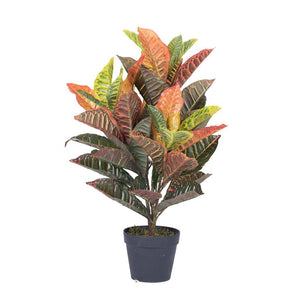 30"  Artificial Real Touch Cronton in Black Pot 1