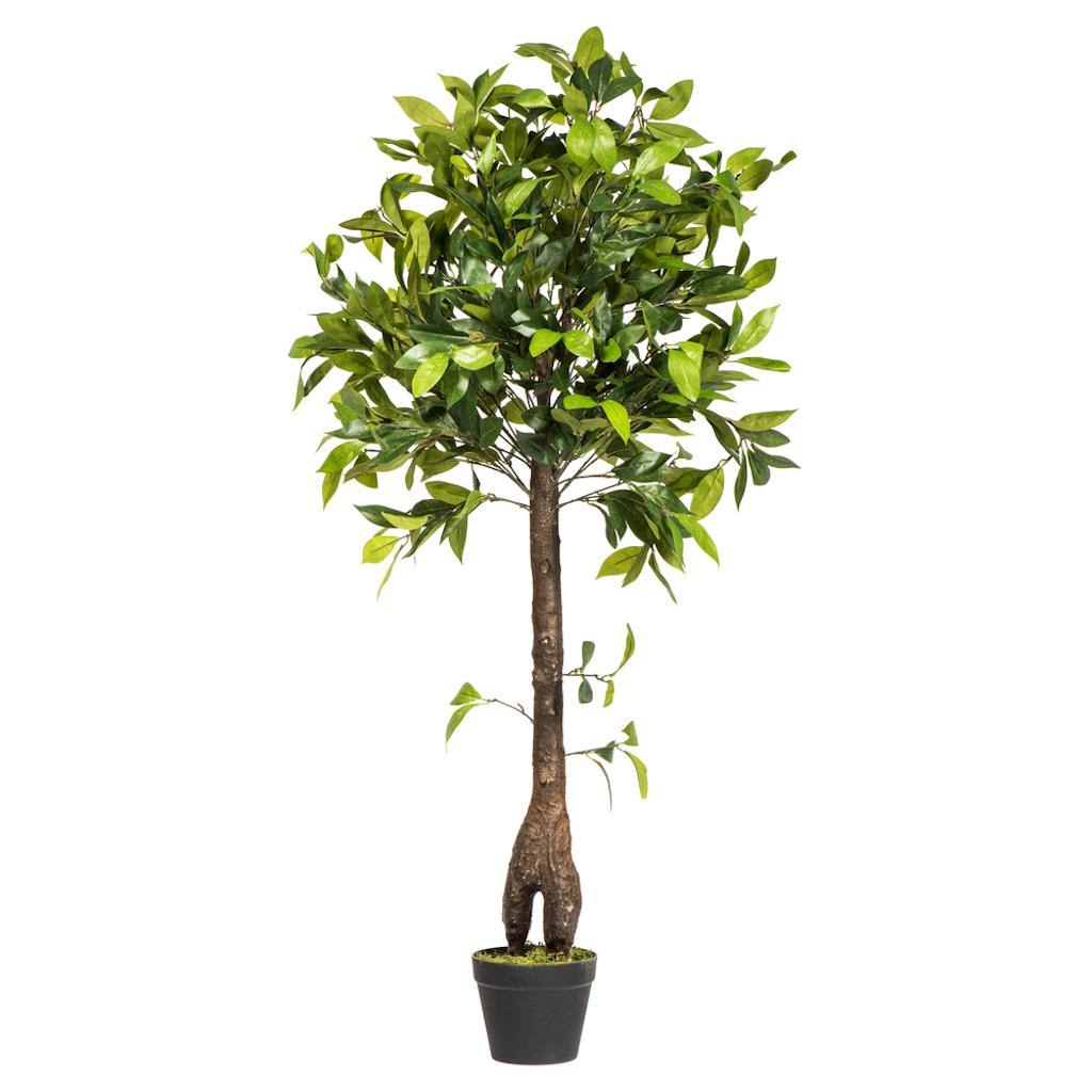 50" Artificial Camellia Tree in Black Pot 1