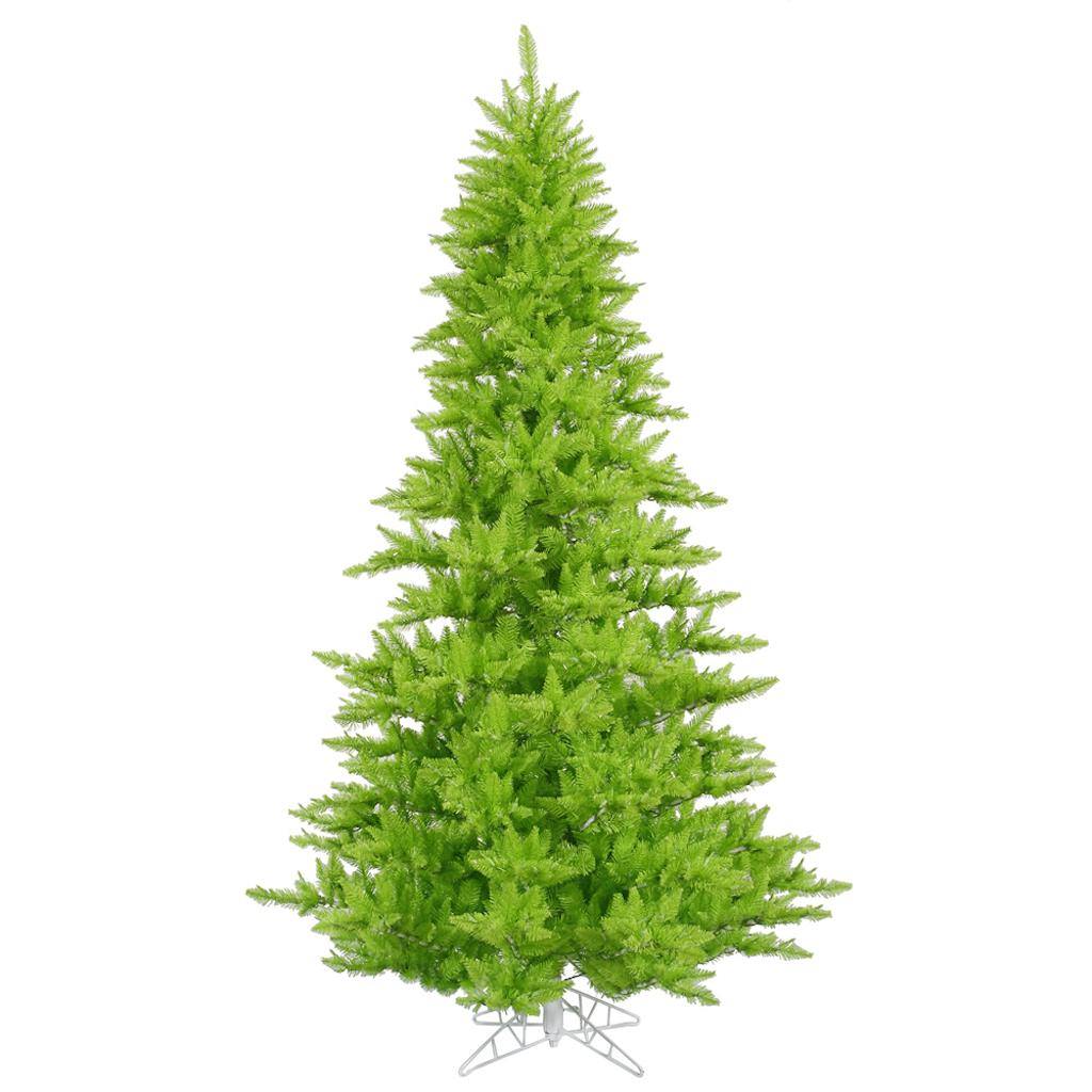 5.5' x 42" Lime Fir Tree 1