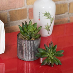 4" Artificial Faux Cactus Stem Pick (6 pack) 3