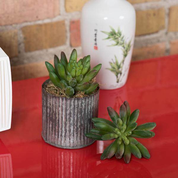 4" Artificial Faux Cactus Stem Pick (6 pack) 3