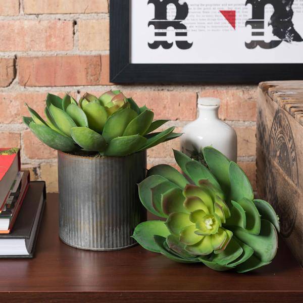 8" Artificial Cactus Stem Pick (3 pack) 3