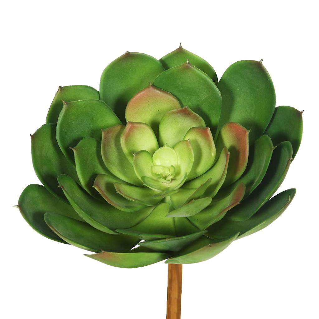 8" Artificial Cactus Stem Pick (3 pack) 1