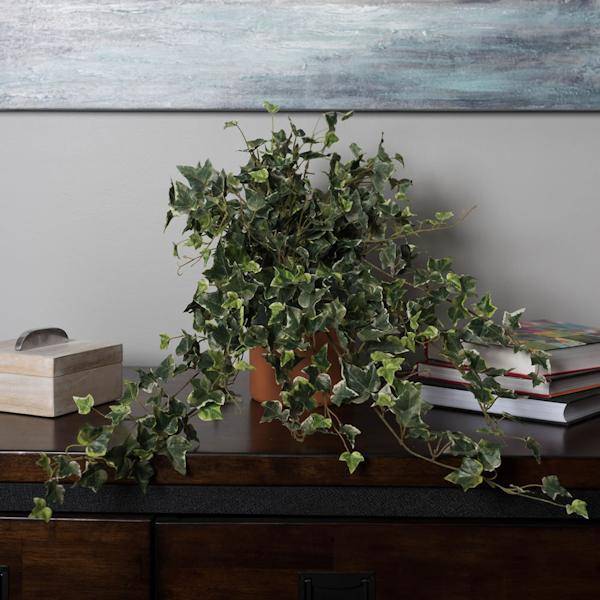 26" Artificial Variegated Mini Ivy Hanging Spray 3