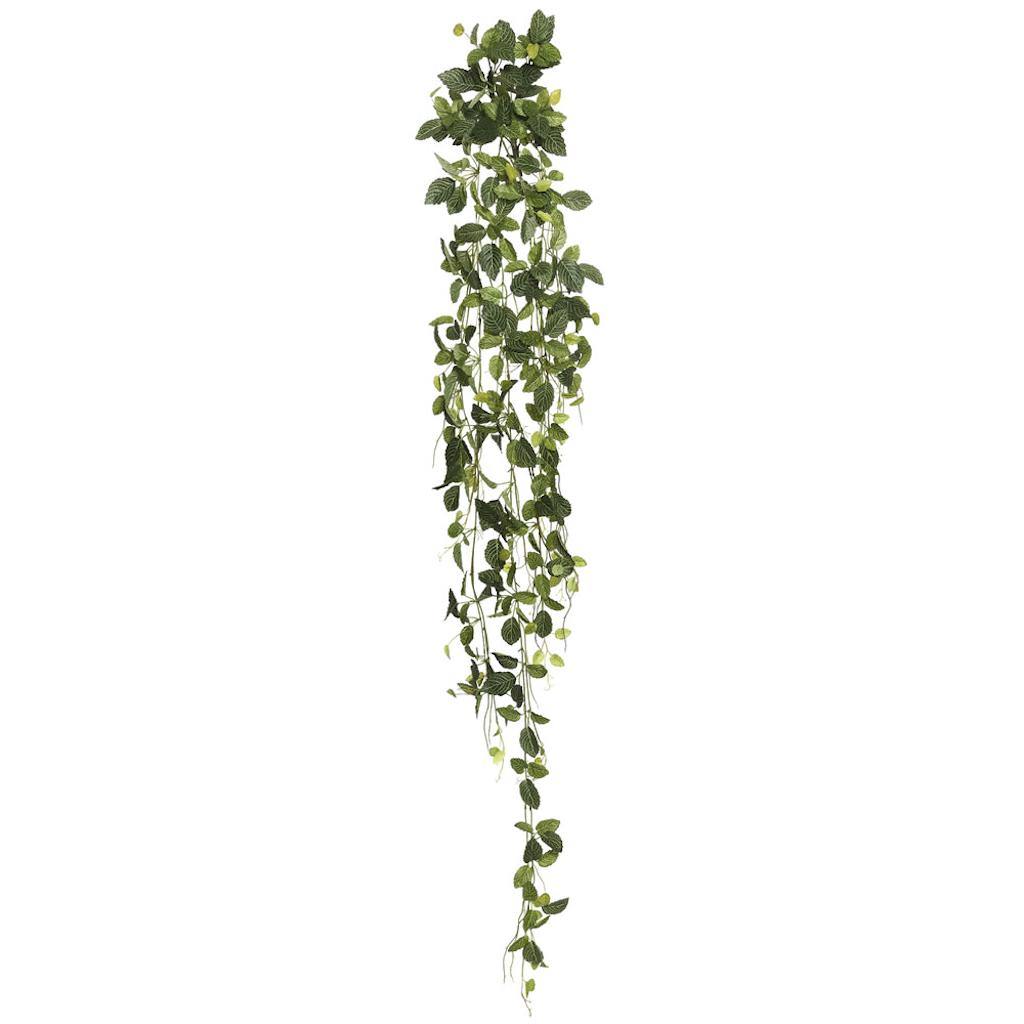 65" Artificial Green Fittonia Hanging Spray 1