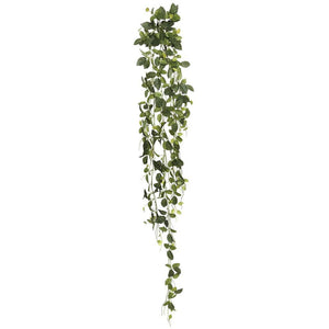 65" Artificial Green Fittonia Hanging Spray 1