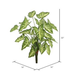 22" Artificial Green Syngonium Spray 2