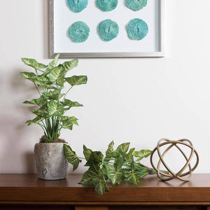 22" Artificial Green Syngonium Spray 3