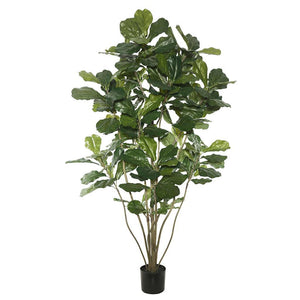 72" Artificial Fiddle Tree in Black Planter Pot 1