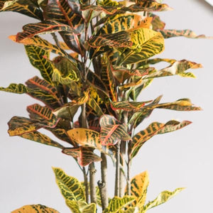 84" Artificial Croton Tree in Black Planter Pot 5