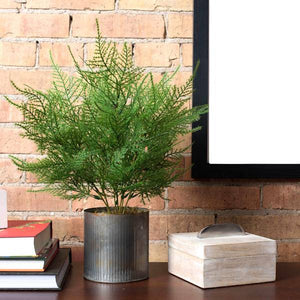 19.5" Artificial Asparagus Spray 3