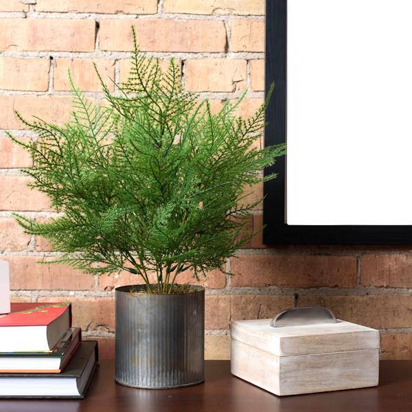 19.5" Artificial Asparagus Spray 3