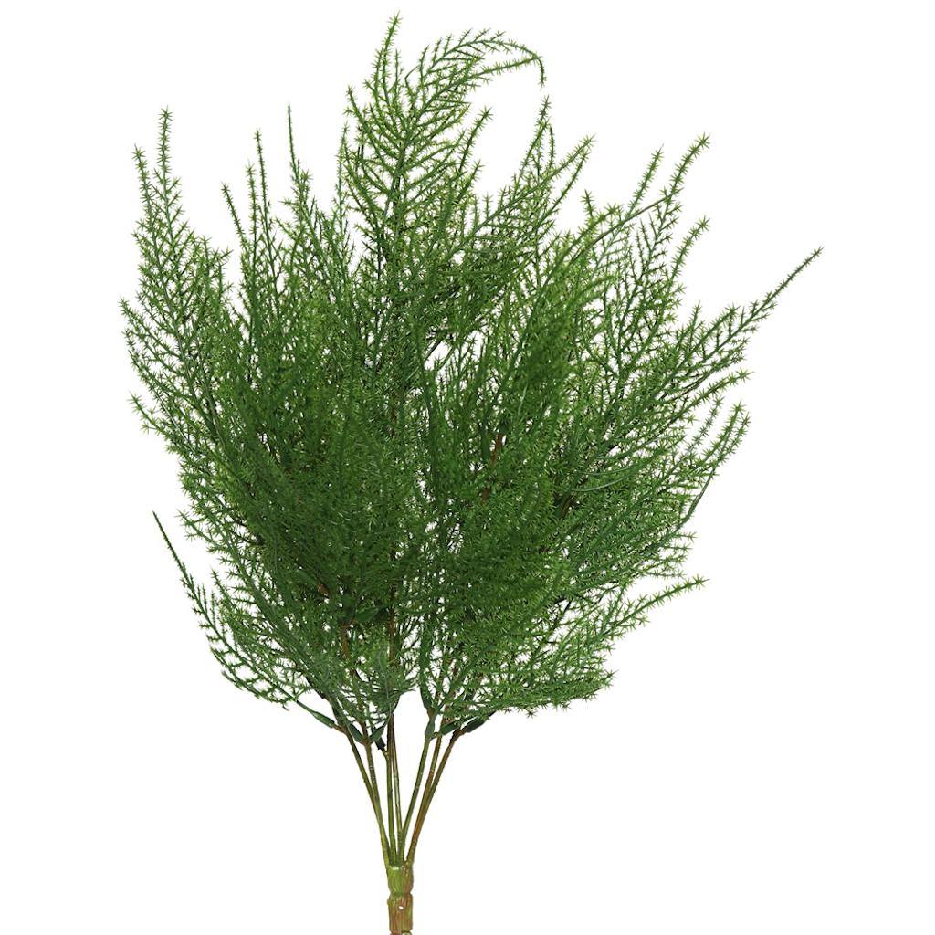 19.5" Artificial Asparagus Spray 1