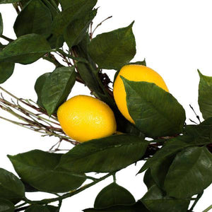 24" Artificial Green and Yellow Salal Leaf Lemon Wreath 2