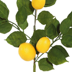 6' Artificial Green and Yellow Salal Leaf Lemon Garland 2