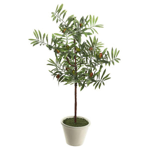 27" Artificial Olive Hill Tree Potted in Round White Container 1