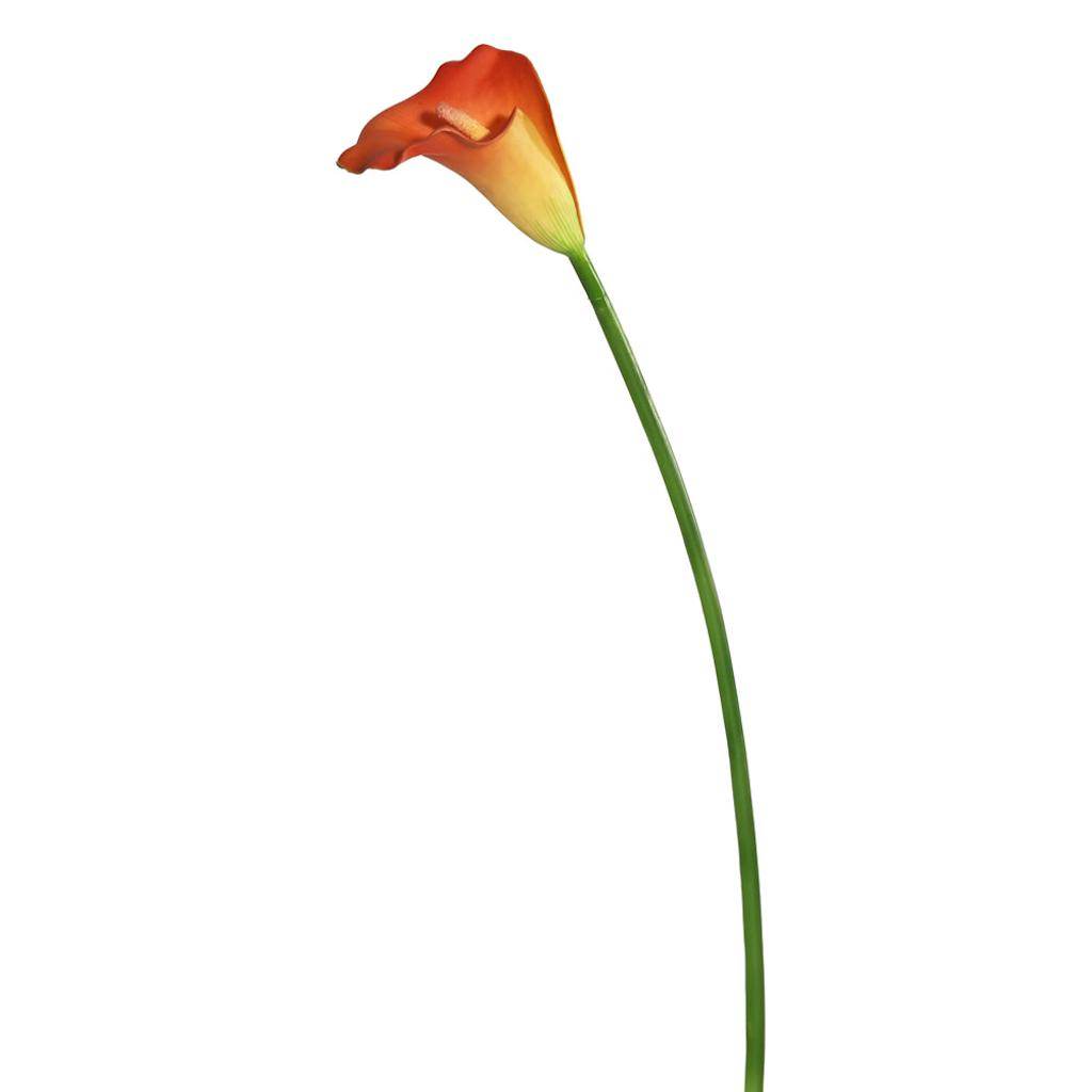 28" Orange/Yellow Large Stem Calla Lily 1