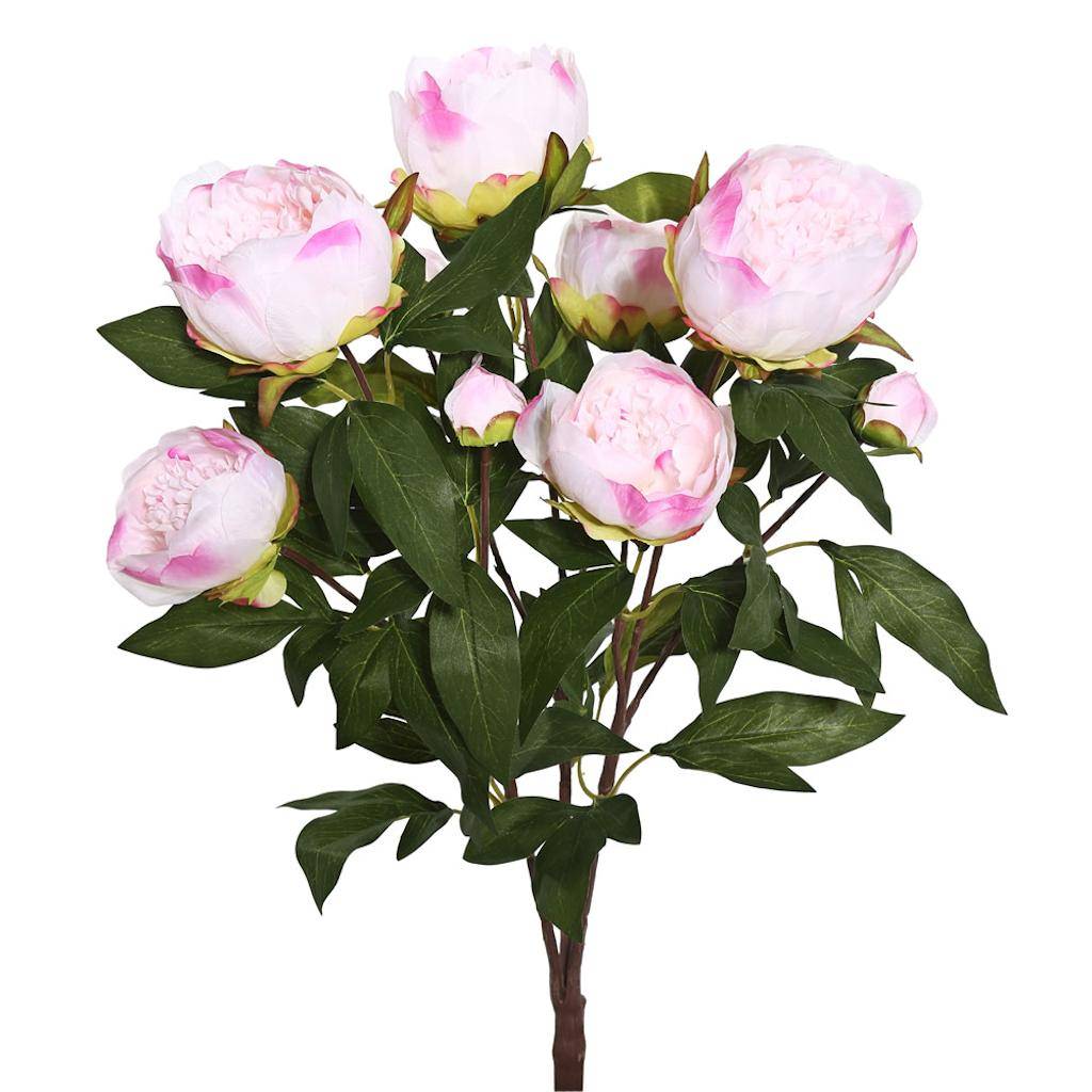 23" Artificial Cream/Pink Peony Bush 1