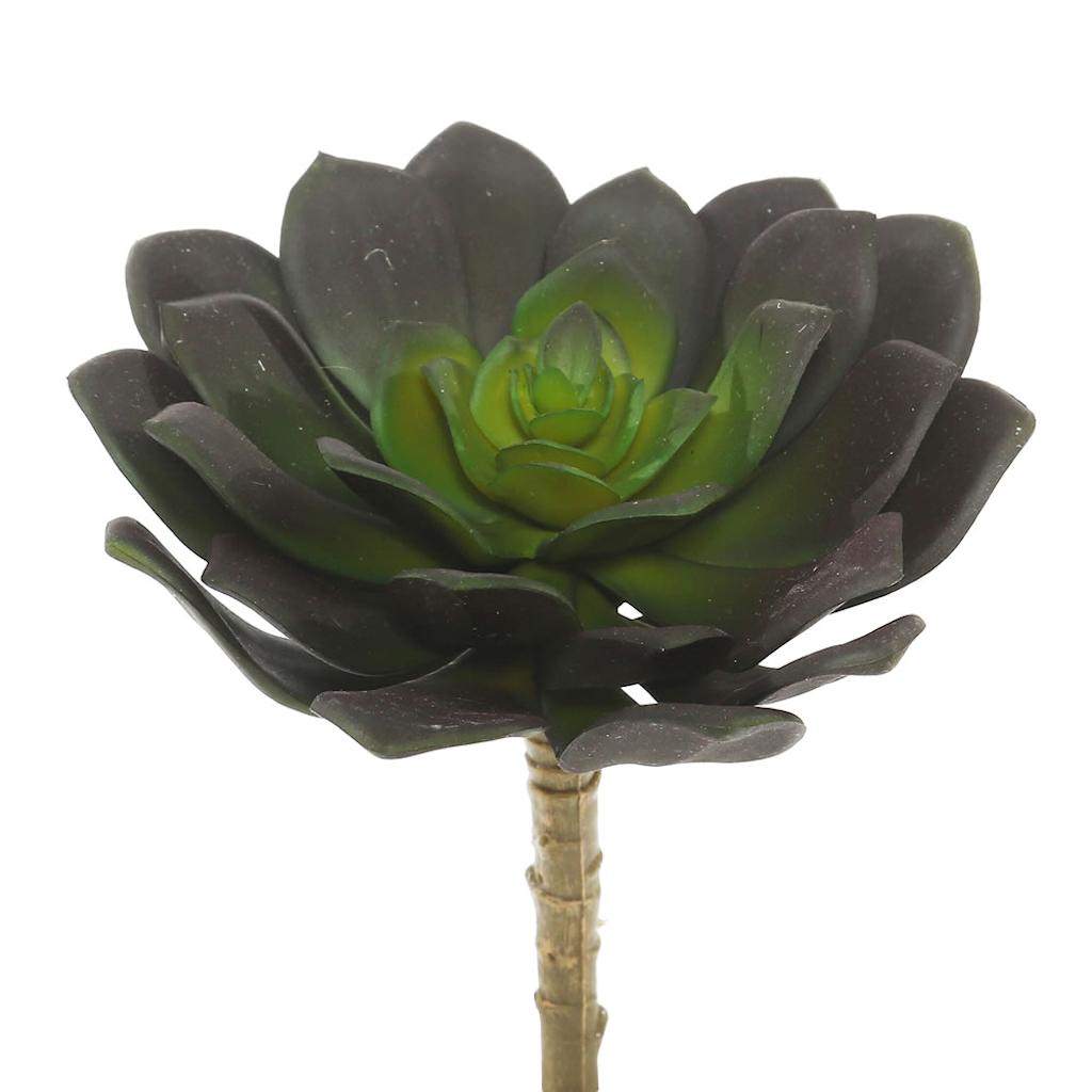 5.75" Artificial Green Echeveria Pick (3 pack) 1