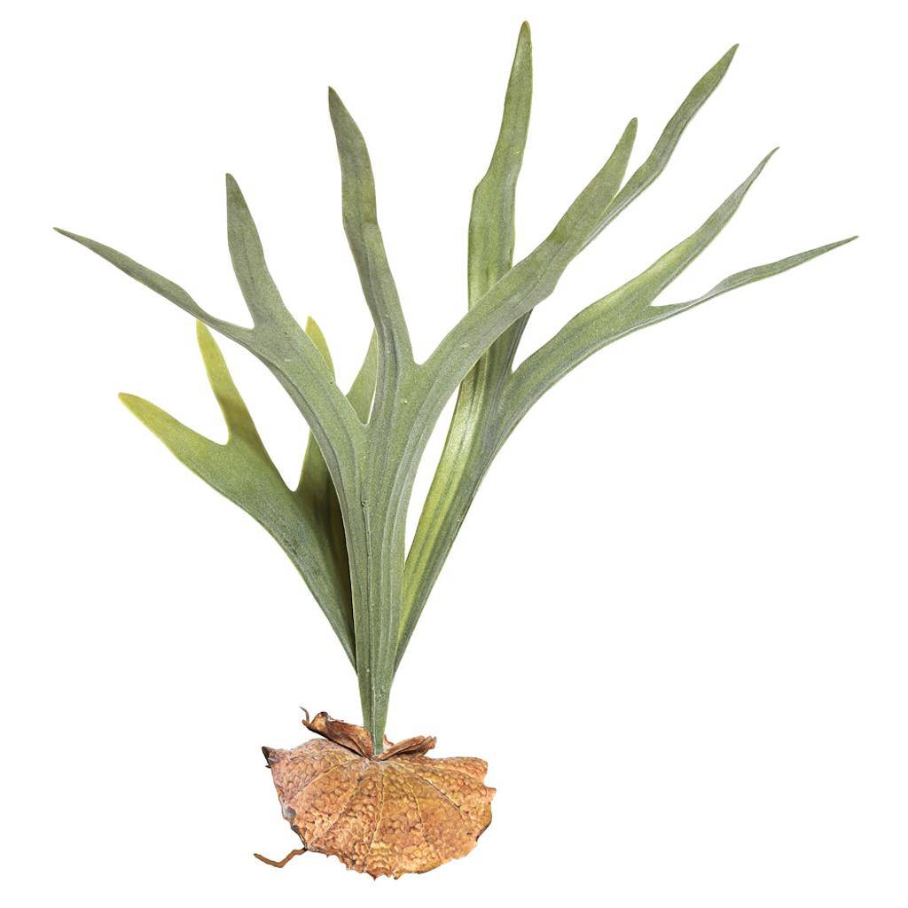 23.5" Artificial Staghorn Fern Pick 1