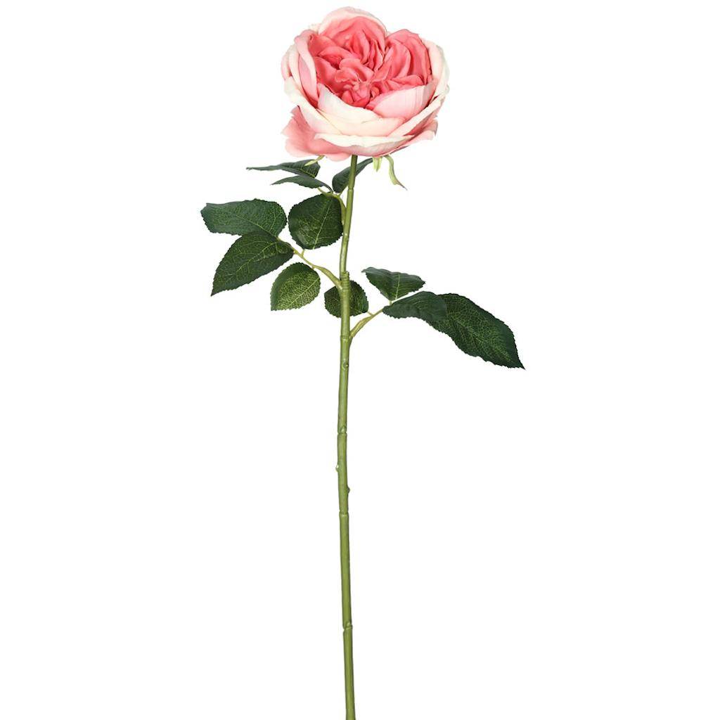 25" Artificial Dark Pink Open Rose Stem (6 pack) 1