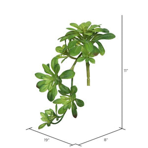 11" Artificial Aeonium Spray (3 pack) 2