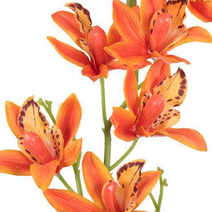 32" Artificial Orange Orchid Stem (6 pack) 2