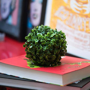5" Artificial Mini Button Leaf Ball (4 pack) 2