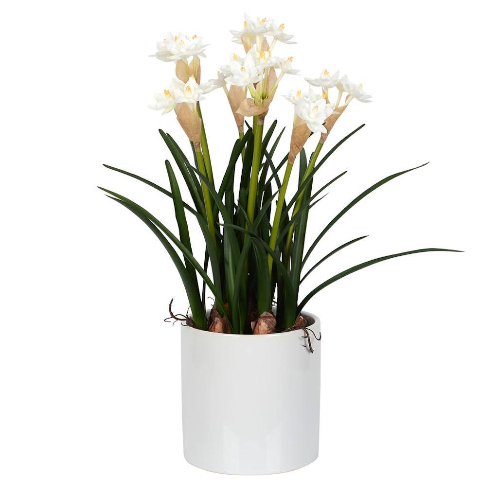 16.5" Artificial White Daffodil With Ceramic Pot 1