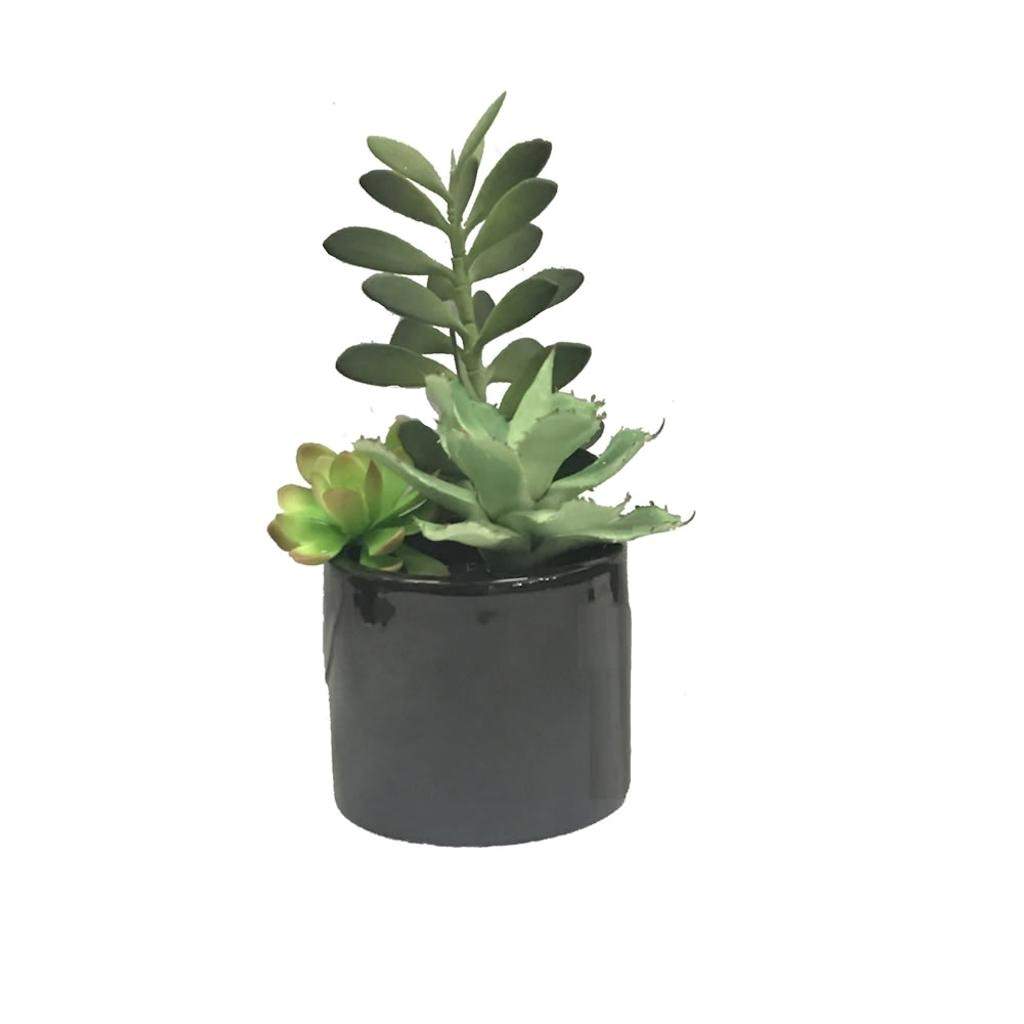 9" Artificial Assorted Succulents in Cement Pot 1
