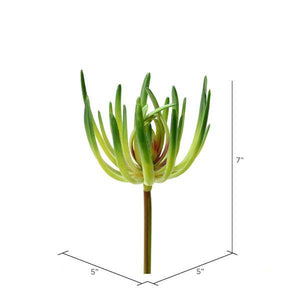 6.75" Artificial Green Jade Pick (3 pack) 2