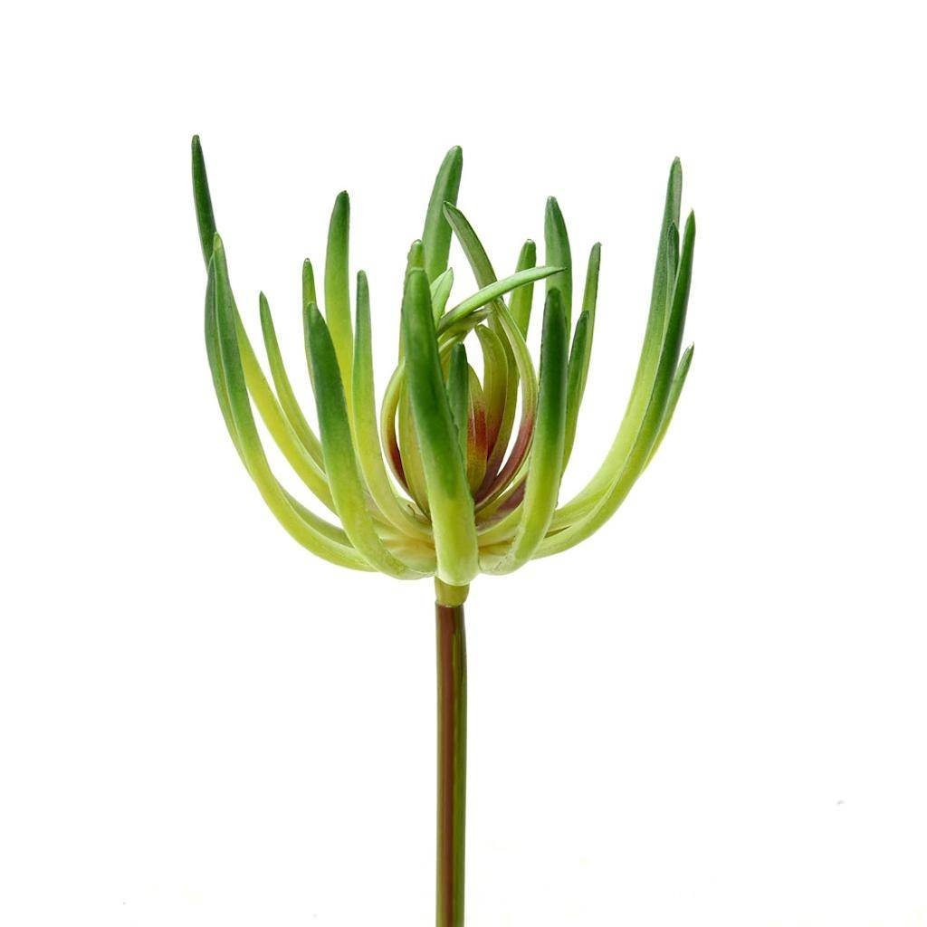 6.75" Artificial Green Jade Pick (3 pack) 1